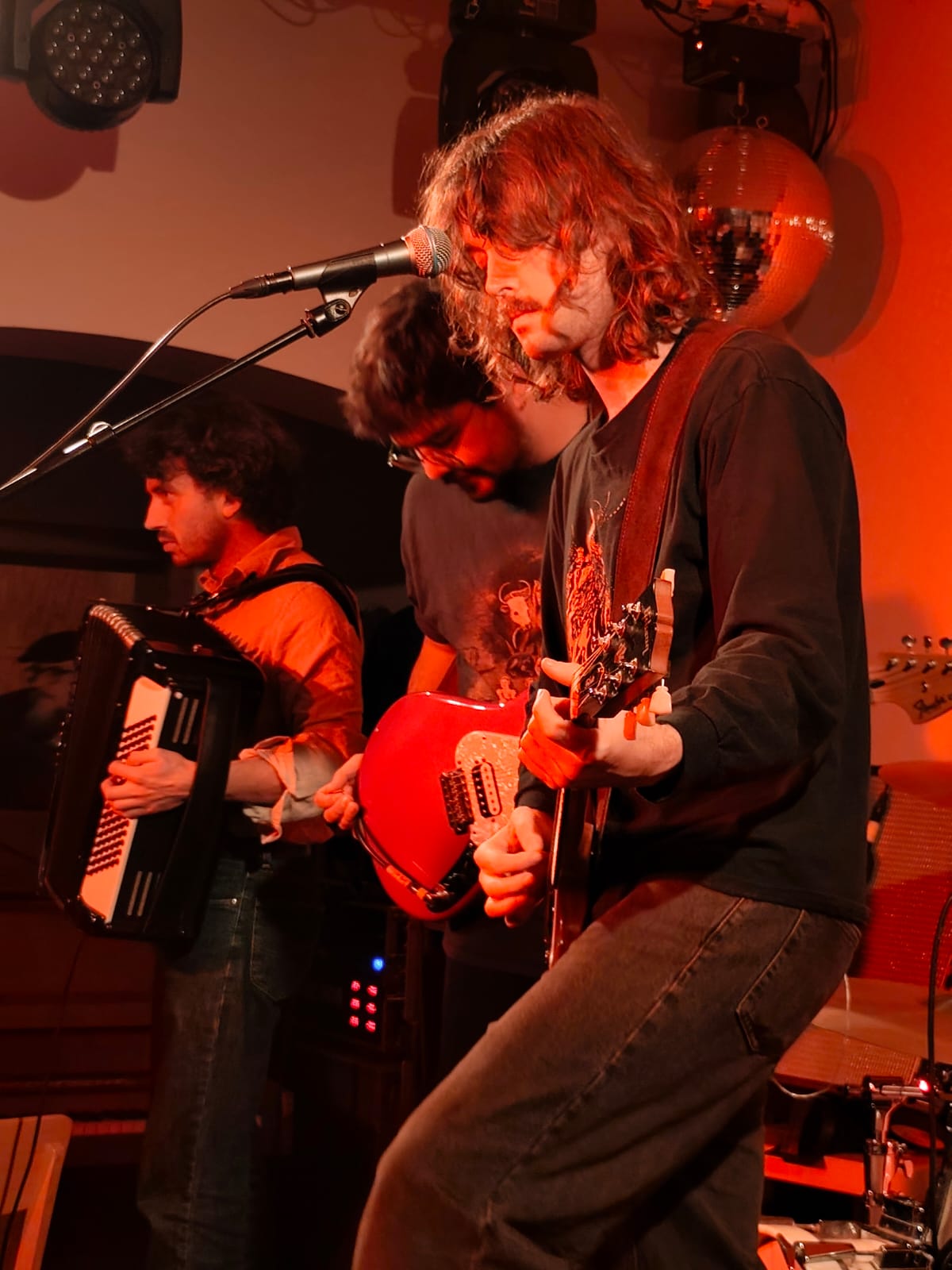 BrownHorse2025-10-31HaldernPopBarGermany (5).jpg